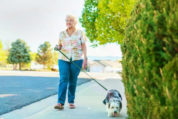 Sitting Too Much, Even if You Exercise, Could Raise Your Alzheimer’s Risk